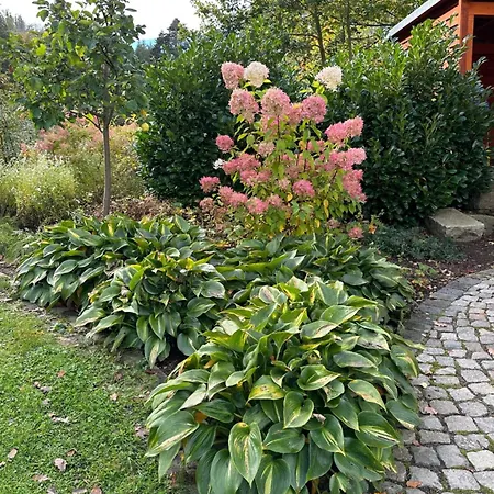 Ferienhaus Montesasso Holiday home *